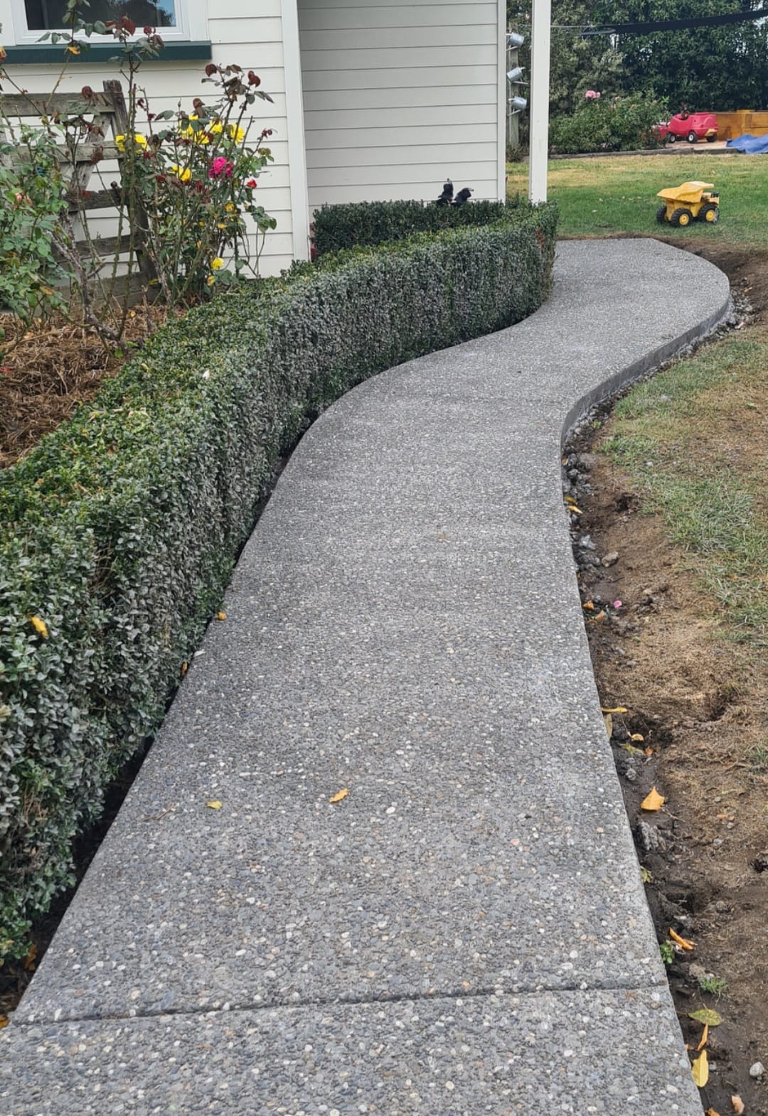 Exposed Aggregate Pathway